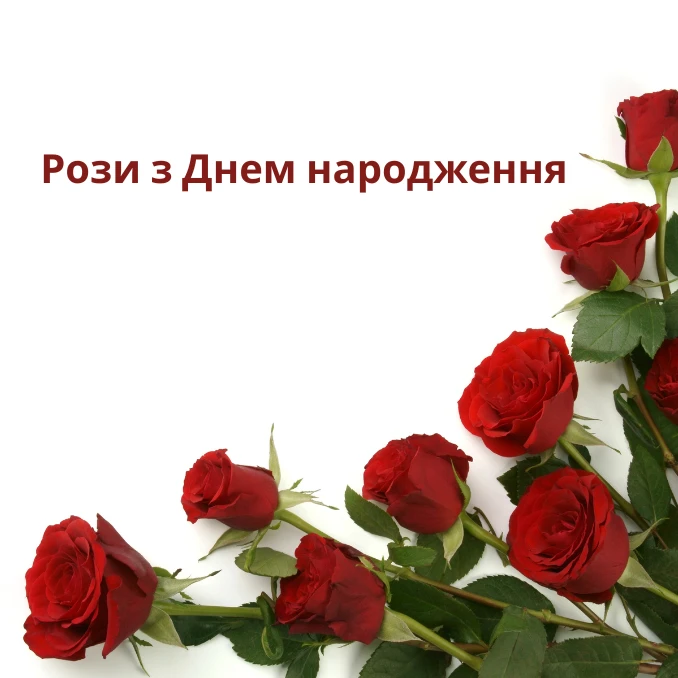 Рози з Днем народження