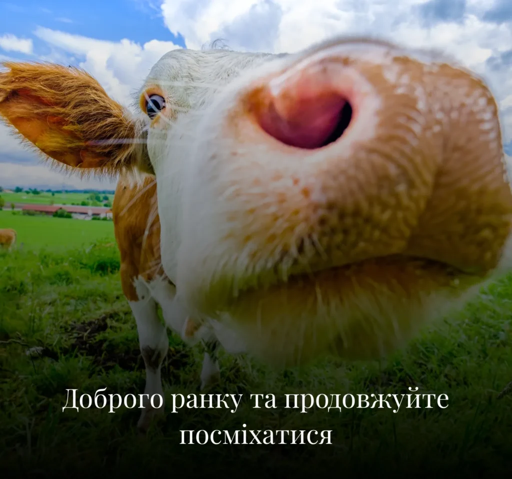 Смішні картинки з добрим ранком на вівторок